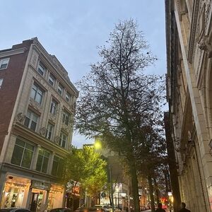 Meet your Posher, Addison